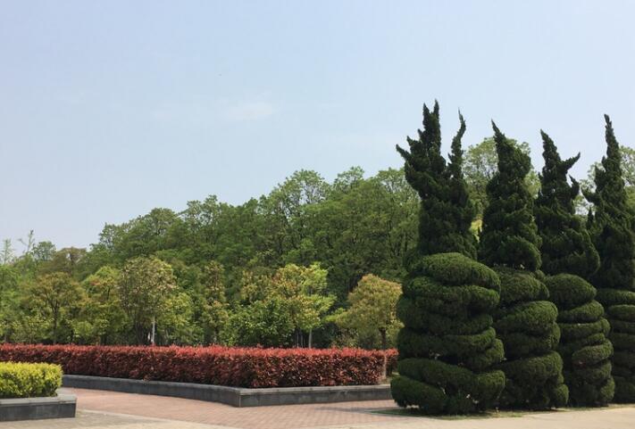 1537520491128484.jpg QQ截图20180921170035.jpg