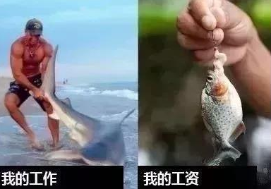 20181008091224.png