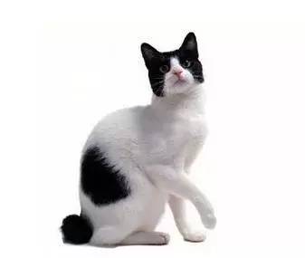 1540867178322738.jpeg 72b1f31e1ef84519bfa1f060627a629b_th.jpeg