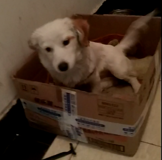微信图片_20181105141809.png