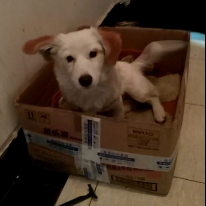 微信图片_20181105141819.png