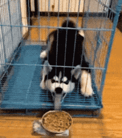 微信图片_20181220151526.gif