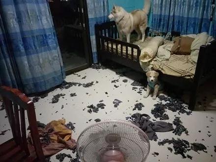 微信图片_20181220151507.jpg