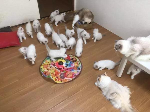 微信图片_20181221162956.jpg
