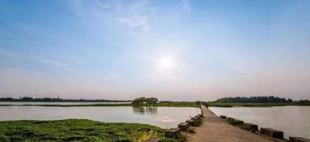 1545470704509539.png QQ截图20181222172453.png