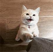 微信图片_20181227154504.gif