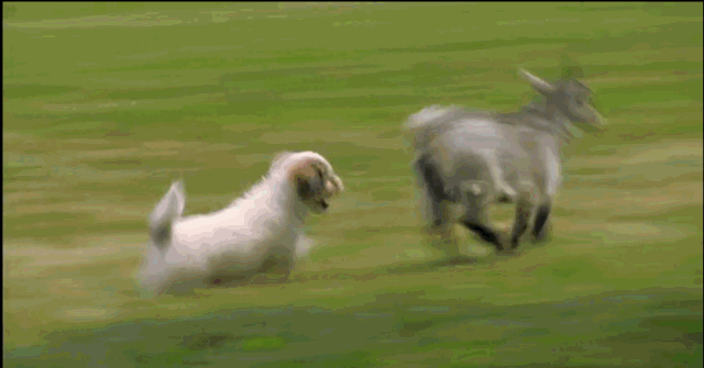 微信图片_20190102112036.gif