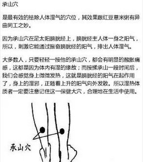 a8363c51gy1fyqzcn96iqj2084097dgk.jpg