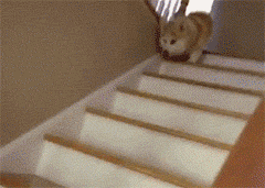 微信图片_20190104130834.gif
