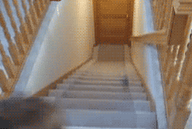 微信图片_20190104130839.gif