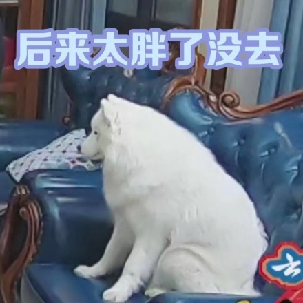 005IrjBuly1fyy6lmkrwfj30u00u0am3.jpg
