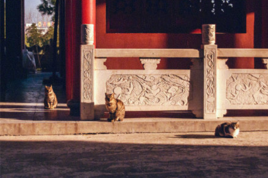 微信截图_20190108161542.png