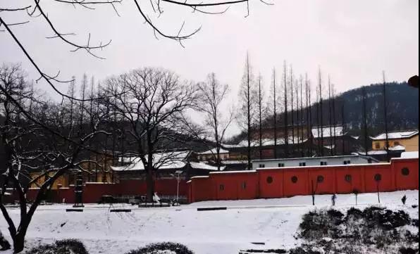 微信图片_20190109110045.jpg