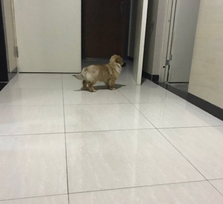 微信截图_20190111094010.png