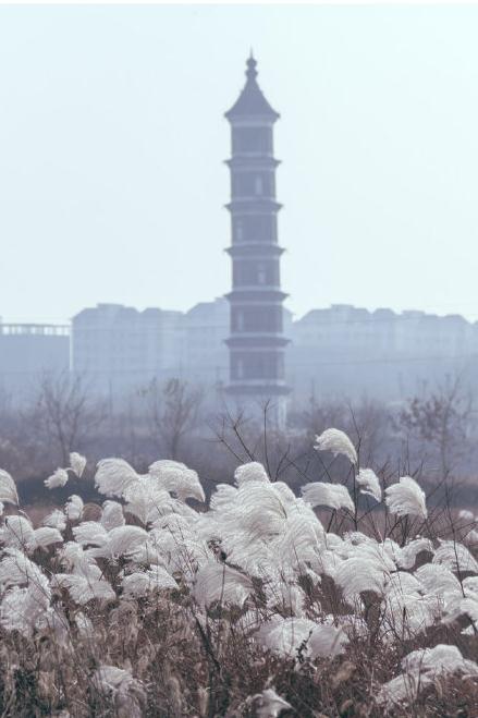 微信截图_20190111145403.jpg