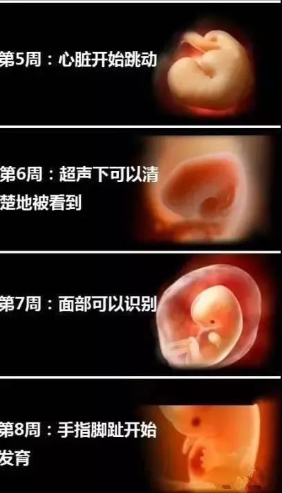 微信图片_20190111151421.jpg