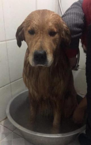 微信截图_20190112115841.jpg