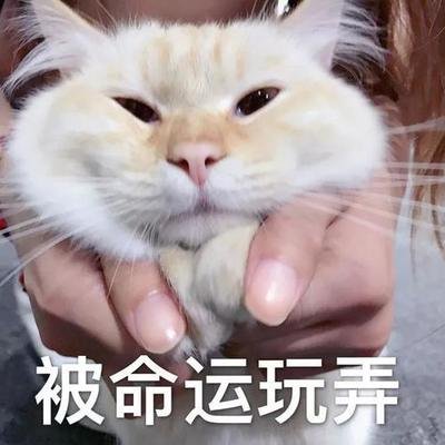 1547447293572064.jpg t01646ab30e5e0edaa2.jpg
