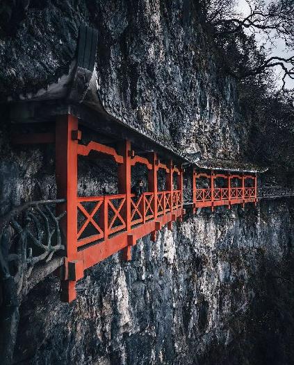 微信截图_20190123144524.jpg