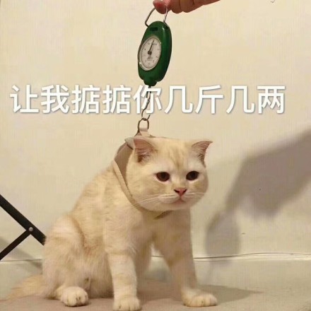 005P3FK5gy1fzaz8q6u9ej30ty0tynap.jpg