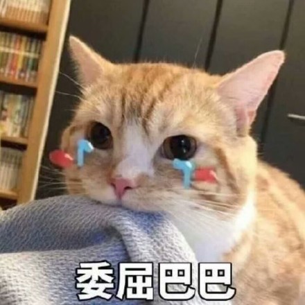 005P3FK5gy1fzaz8pqy4lj30qo0qo4b0.jpg