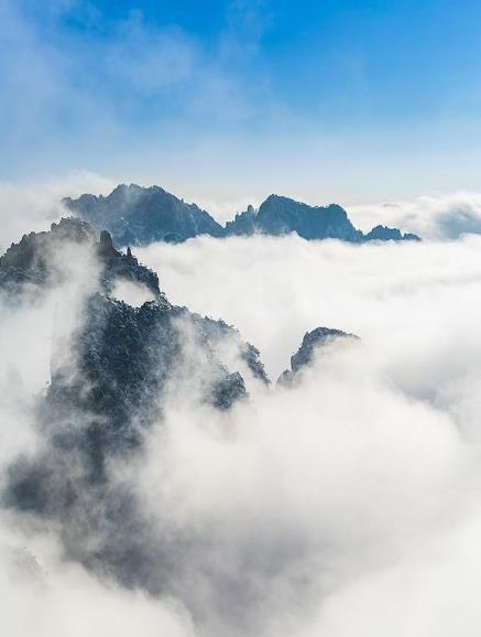 微信截图_20190129110531.jpg