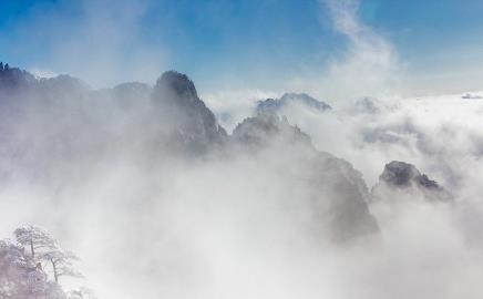 微信截图_20190129110636.jpg