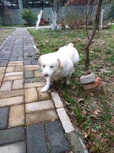 微信截图_20190129114740.jpg
