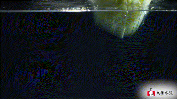 微信图片_20190129161946.gif