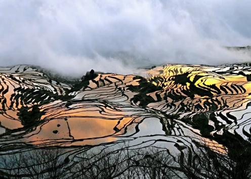 微信截图_20190130153223.jpg