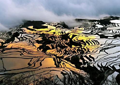 微信截图_20190130153236.jpg