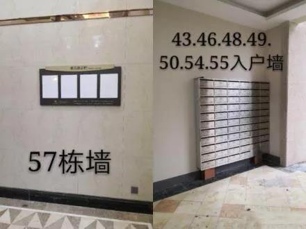 微信图片_20190130155735.jpg