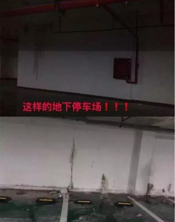 微信图片_20190130155918.jpg