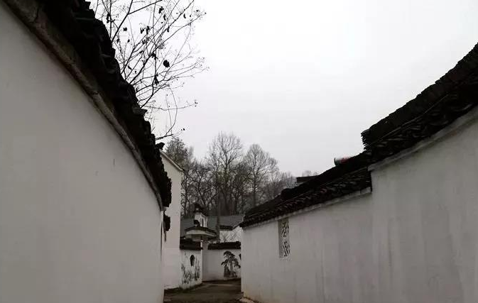 微信截图_20190130163911.png