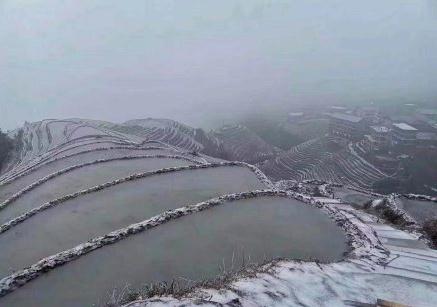 微信截图_20190131145809.jpg