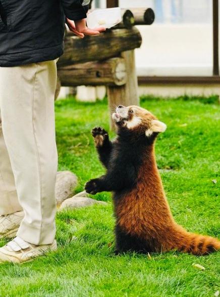 微信截图_20190213102504.jpg