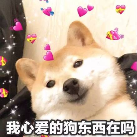 415f82b9ly1g04ktq6jhqj20tk0tmju0.jpg