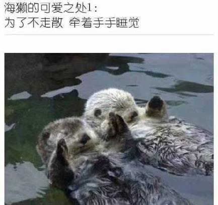微信截图_20190214103940.jpg
