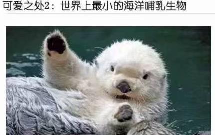 微信截图_20190214103952.jpg