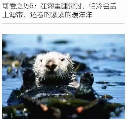 微信截图_20190214104100.jpg