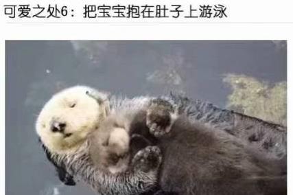 微信截图_20190214104112.jpg