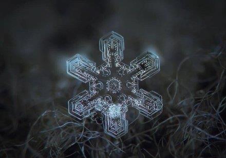 微信截图_20190214171521.jpg
