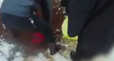 微信截图_20190219130411.png