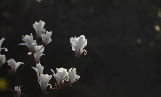 微信截图_20190225150424.png