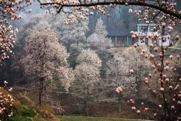 微信截图_20190301093656.png