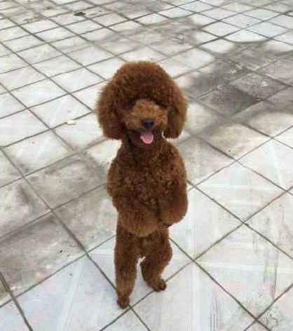 微信截图_20190301101827.png