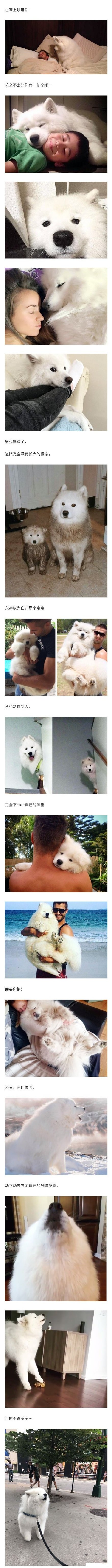 7f97d70fly1g0lxpqymhvj20dc56l1df.jpg