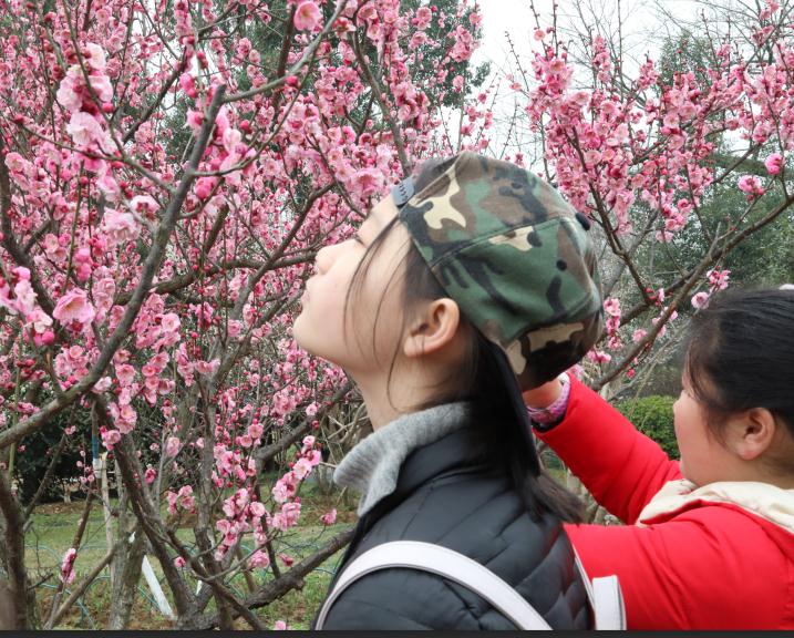 微信截图_20190303145503.jpg