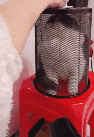 __wx1.sinaimg.cn_mw1024_91e4a538gy1foxdh2uyqsg208o0cj1fp.gif