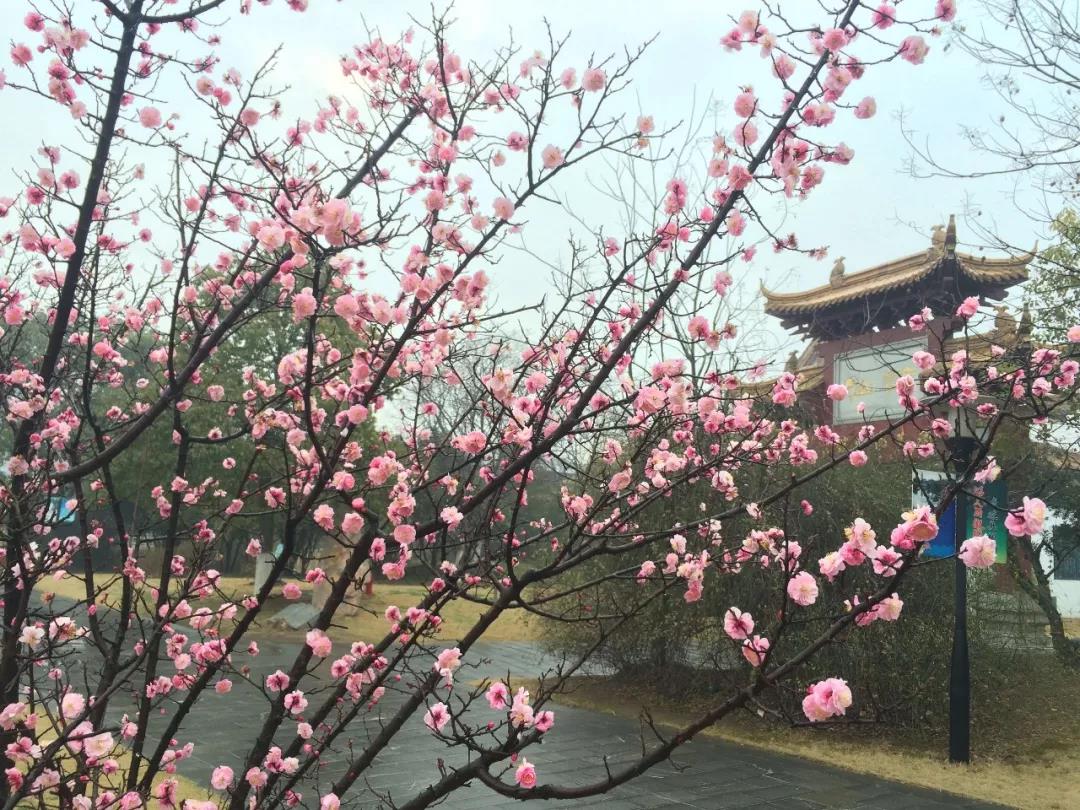 微信图片_20190307131944.jpg
